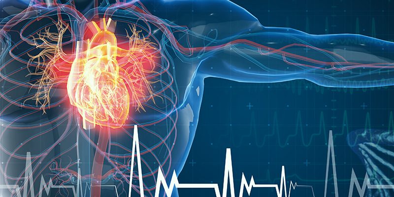 Cardiovascular-Effects-of-Omega-3-Fatty-Acids