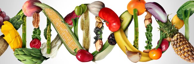 The-Essential-Role-of-Multivitamins-in-Daily-Nutrition