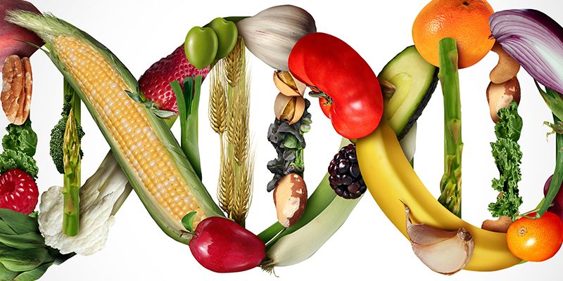 The-Essential-Role-of-Multivitamins-in-Daily-Nutrition