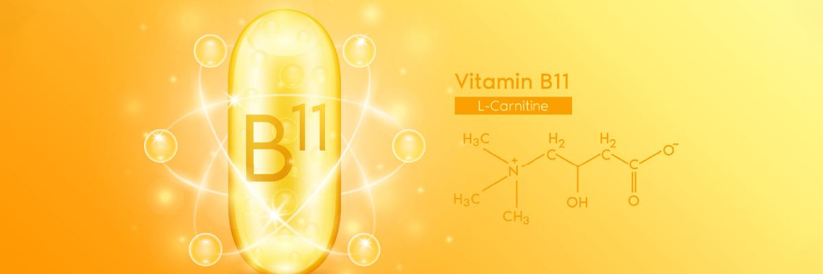 Understanding L-Carnitine: Its Role and Benefits for Health