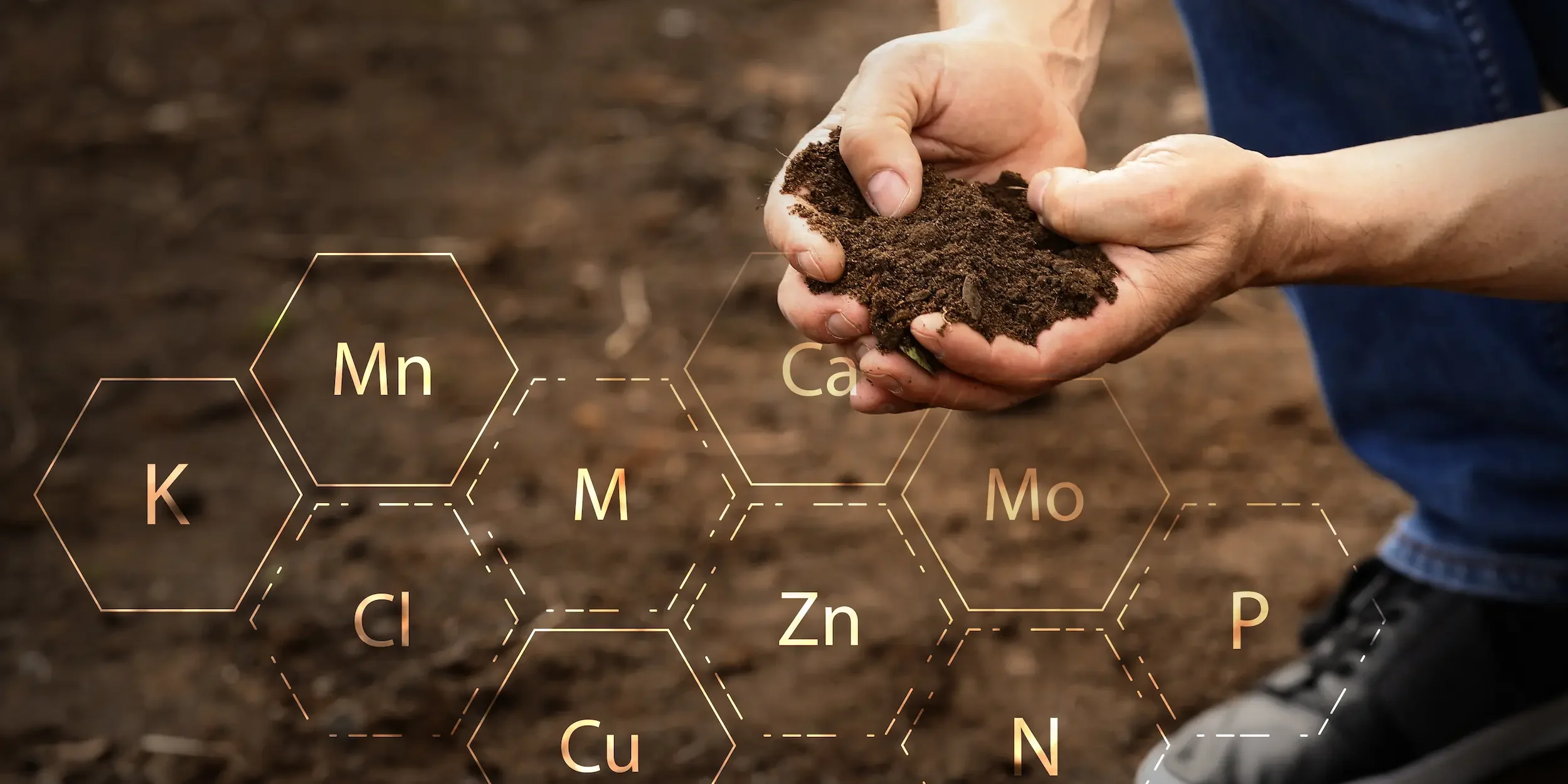 A man cups soil in his hands, with symbols denoting some of the essential dietary minerals.